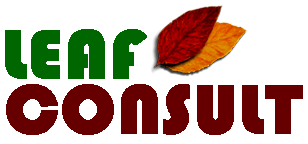 Logo Leaf-Consult